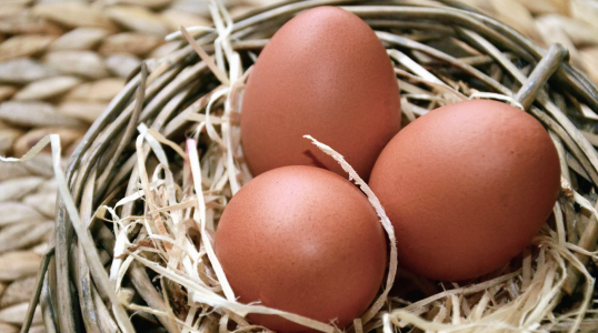 «Справедливая цена»: В Росптицесоюзе заявили, что куриные яйца не подешевеют ниже 110 рублей