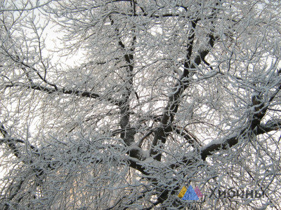 16 января температура воздуха в Заполярье понизится до -20°С