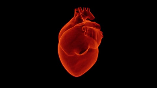 «Это страшнее одышки»: врач Шехян назвал симптом, который говорит о серьезной болезни сердца — такое нельзя игнорировать