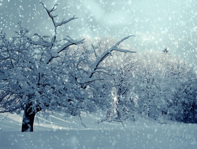 В Мурманской области ожидаются снегопады и сильная метель