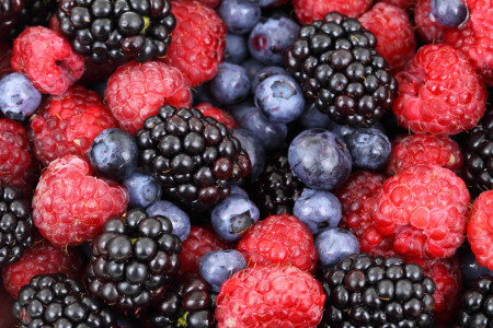 «Снизят давление и помогут сбросить вес»: ученые назвали 5 самых полезных для здоровья ягод
