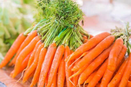 Семена нарасхват: Опытная дачница назвала 2 сорта моркови с гигантскими плодами — ни одной «рогатой» и растет даже за Полярным кругом