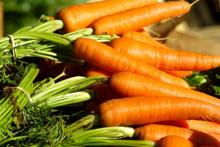 Масса каждого корнеплода достигает 500 г: этот сорт моркови впечатлит вкусом, сочностью и урожайностью — растёт даже в пустыне