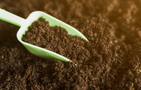 Сорняков будет меньше в разы: добавьте это в землю при весенней перекопке — почва станет мягкой, как облако