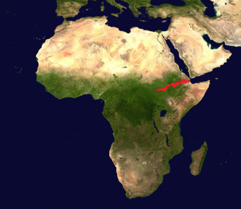 Африка разъезжается на две части: Хлынет ли к нам поток беженцев с чёрного континента и что станет с планетой — профессор Макдональд