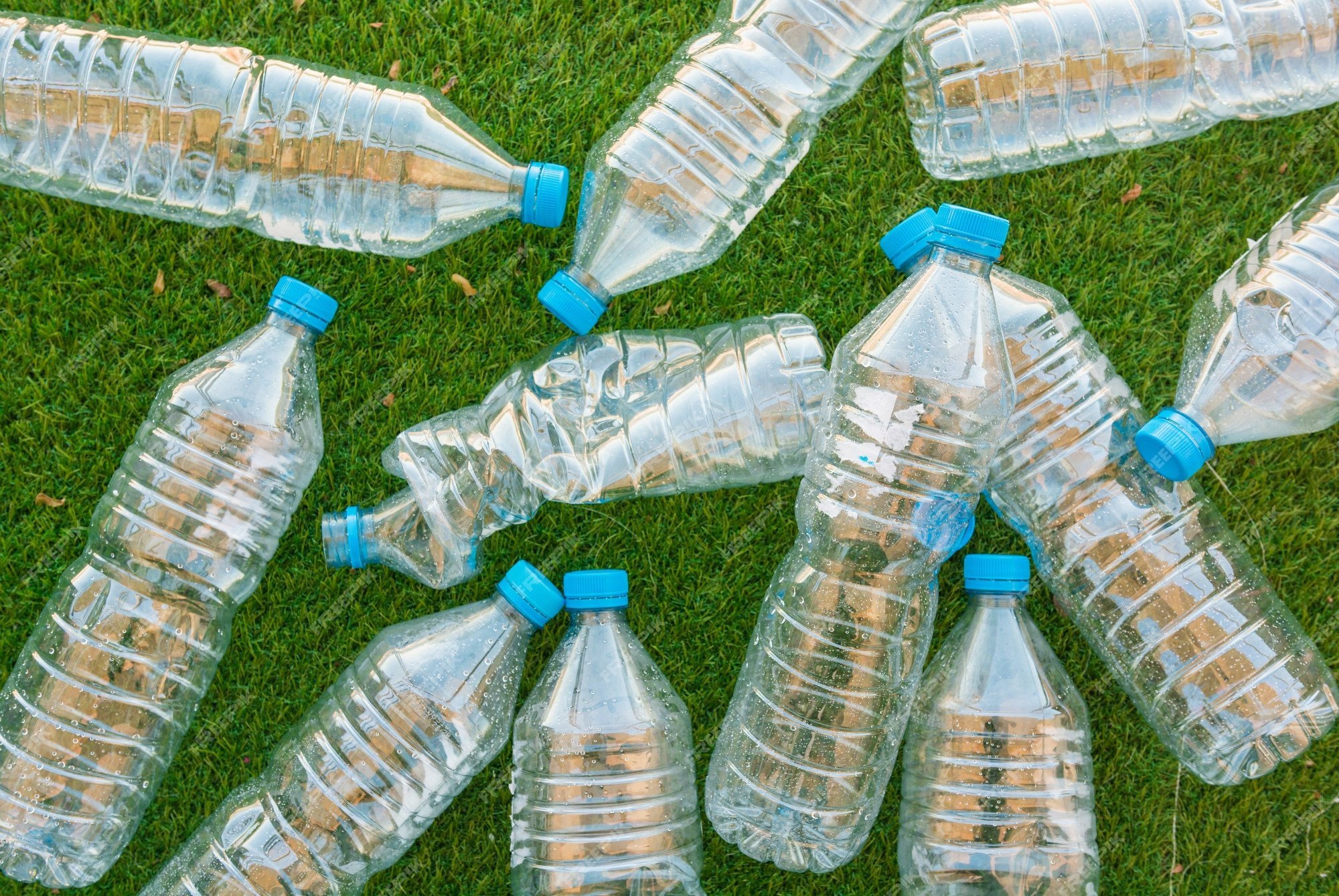 Дед-огородник пластиковые бутылки не выбрасывал: Вешал их на яблоню в апреле — рабочий метод, подтвердила агроном Давыдова