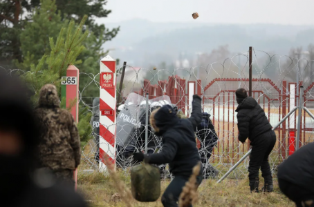 Необузданные толпы мигрантов прут из Белоруссии в Польшу, пограничная стена трещит от напора нелегалов — штурмуют с лестницами
