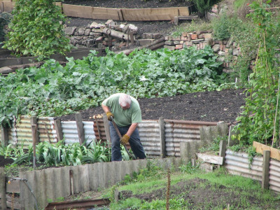 Сосед-дачник закапывал в огороде подковы: мы сначала смеялись, теперь делаем так же — эффективность подтвердила агроном Давыдова