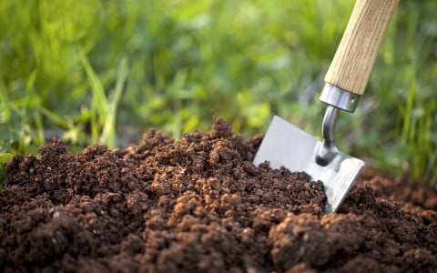 Достаточно внести в мае 2 ложки этого средства: почва вмиг станет мягкой, рыхлой и воздушной — хитрость для повышения урожайности