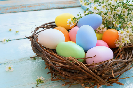 Как не слечь в больницу: Эти 5 видов красителей для яиц к Пасхе наиболее безопасны — совет доцента РОСБИОТЕХа