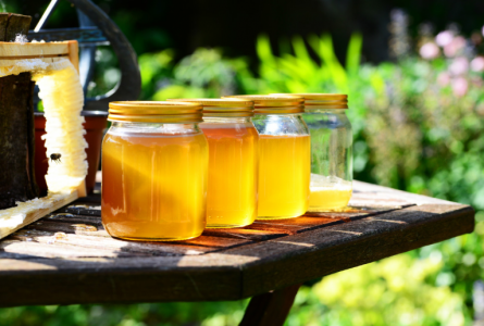 Как распознать натуральный мёд, не отходя от прилавка и даже не открывая банку — не по цвету и консистенции