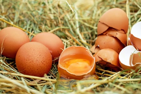 Больничная койка вместо пользы: эксперты Роспотребнадзора рассказали страшную правду о яйцах — какие покупать нельзя