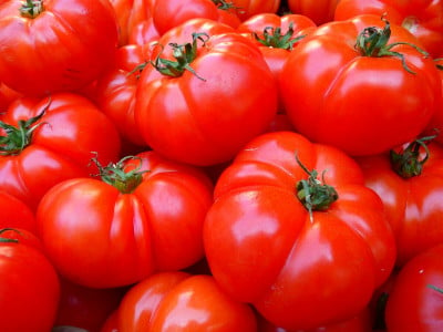 Всего 3 капли этого копеечного средства под каждый куст — и помидоры растут наперегонки: никакого фитофтороза всё лето — только рекордный урожай