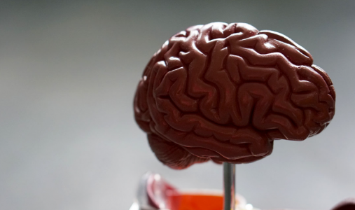Портит мозг: Прионная болезнь смертельна для человечества — сводит с ума и вызывает страх у ученых
