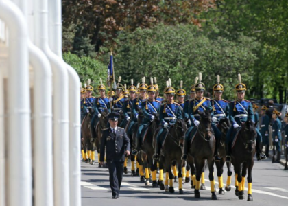 «Отставить ржать!»: Как мерин Люсик президента Путина на новый срок проводил — почему в гвардейский полк не берут арабских скакунов — самых красивых лошадей