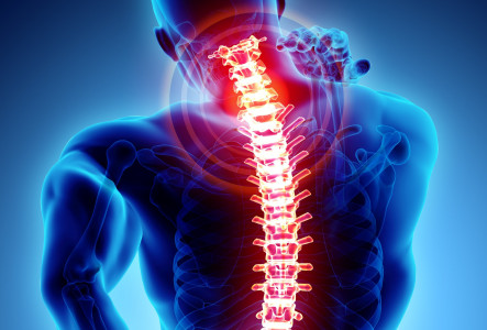 Забудьте про любые таблетки и мази: справиться с болью в спине помогут эти упражнения — мгновенный эффект гарантирован