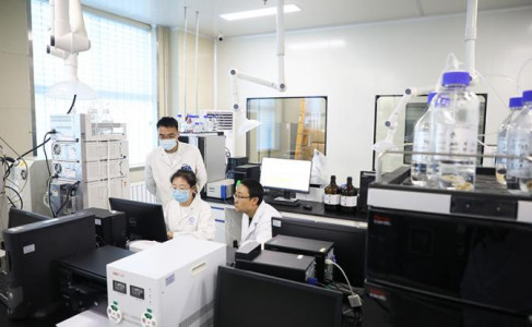Ученые из Южной Кореи нашли эффективный способ борьбы с онкологией: раковые клетки уничтожаются