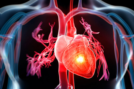 Сердце и сосуды будут здоровы в любом возрасте: помочь организму способны эти упражнения — эффективность доказана учёными