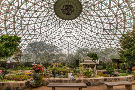 Северяне предлагают открыть в Мурманске ботанический сад под куполом