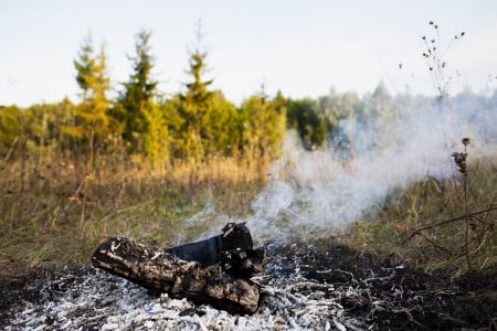 В Мурманской области установлен особый противопожарный режим