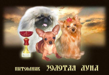 Фотография №1