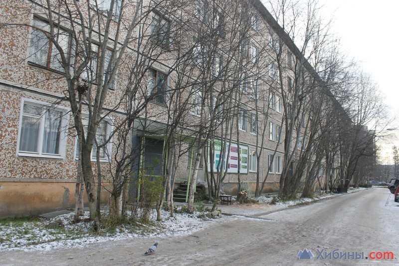Купить Квартиру Апатиты Космонавтов 41
