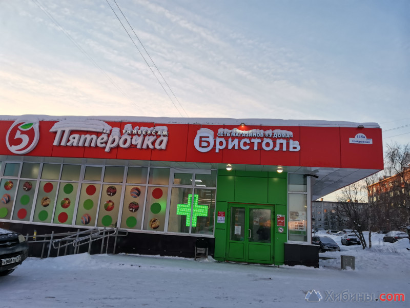 Чайка 113