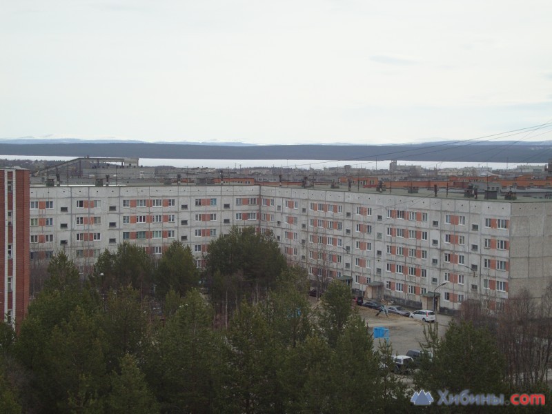 Авито Купить Квартиру В Оленегорске Мурманской Области