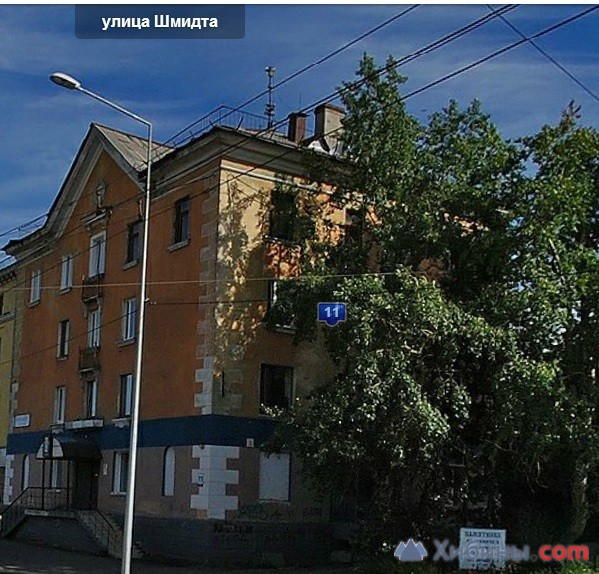 Шмидта мурманск. Мурманск, ул. Шмидта, 11. Улица Шмидта Мурманск 16. Мурманск, ул. Шмидта, 2. Ул. Шмидта, д. 17, Мурманск.