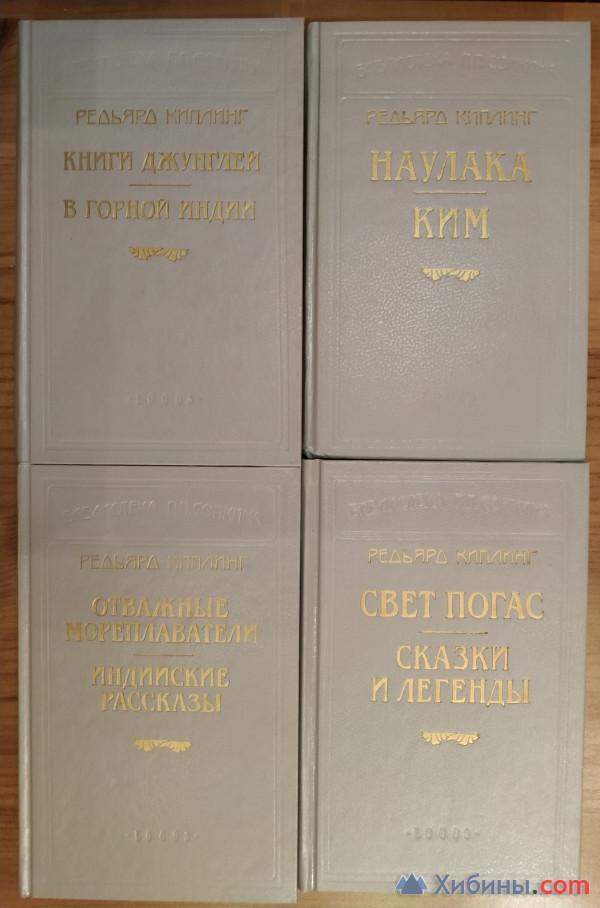 Библиотека П.П.Сойкина