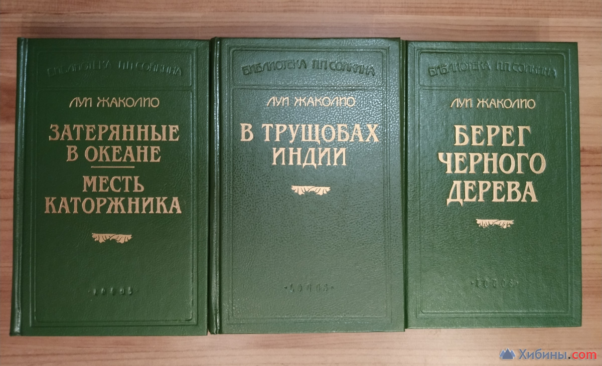 Библиотека П.П.Сойкина