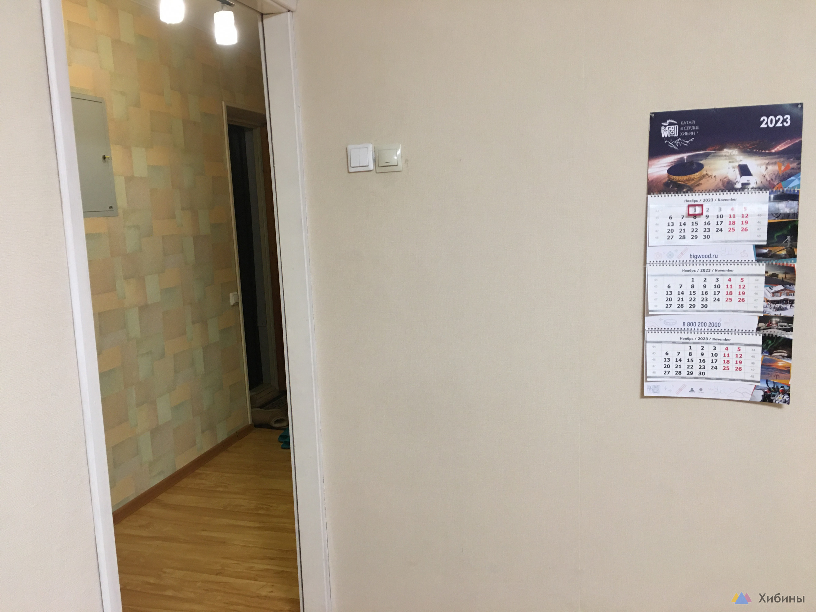 Сдам посуточно студию