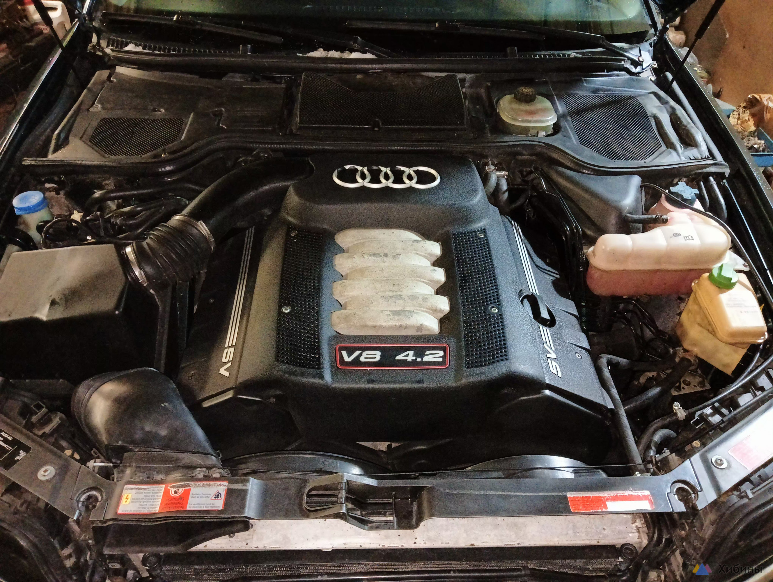 Audi S8