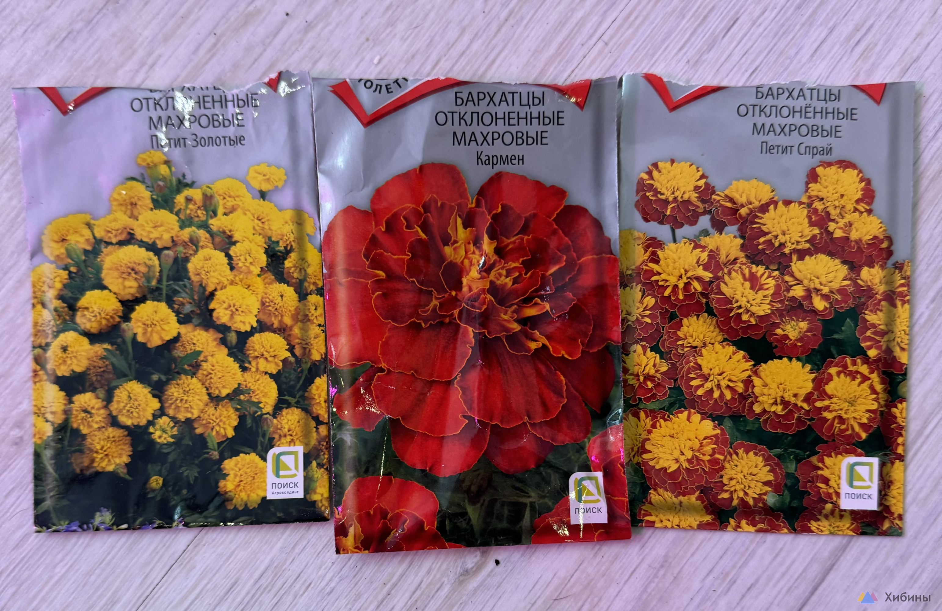 Продам рассаду бархатцев