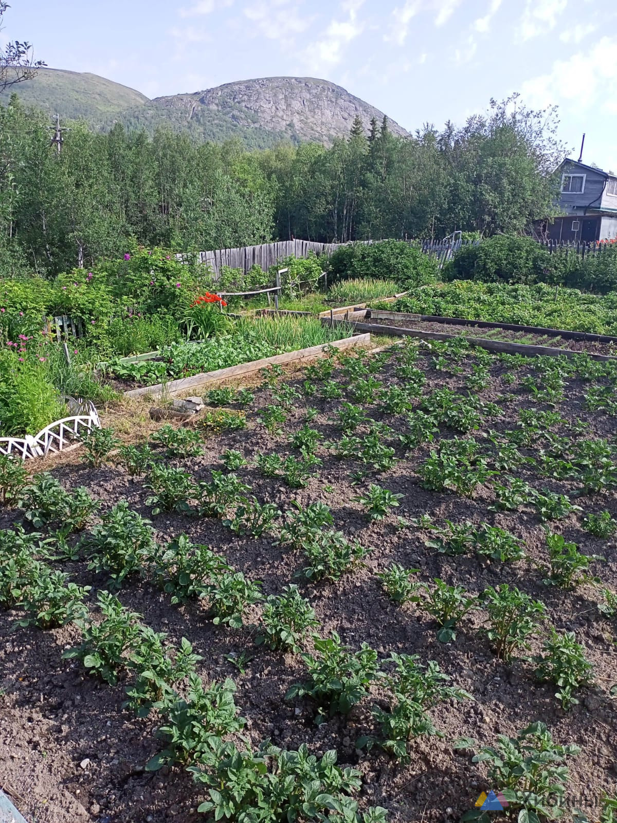 Продам дачный участок 6 соток с домиком и хоз постройками