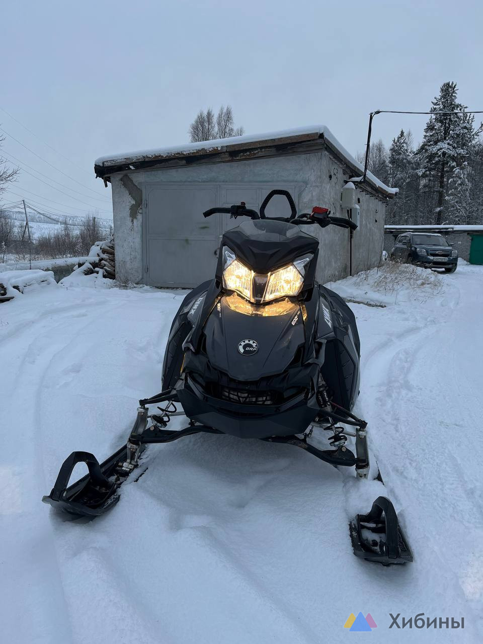 Lynx Boondoker