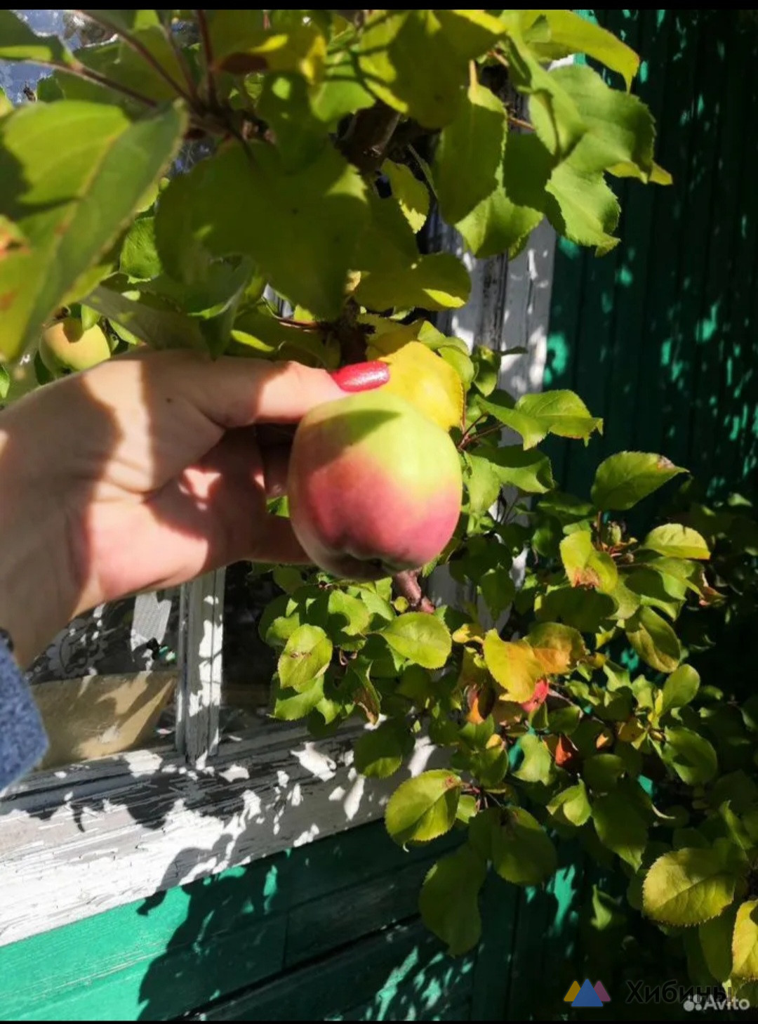 Продам дачу 40 кв. м. , участок 7 соток