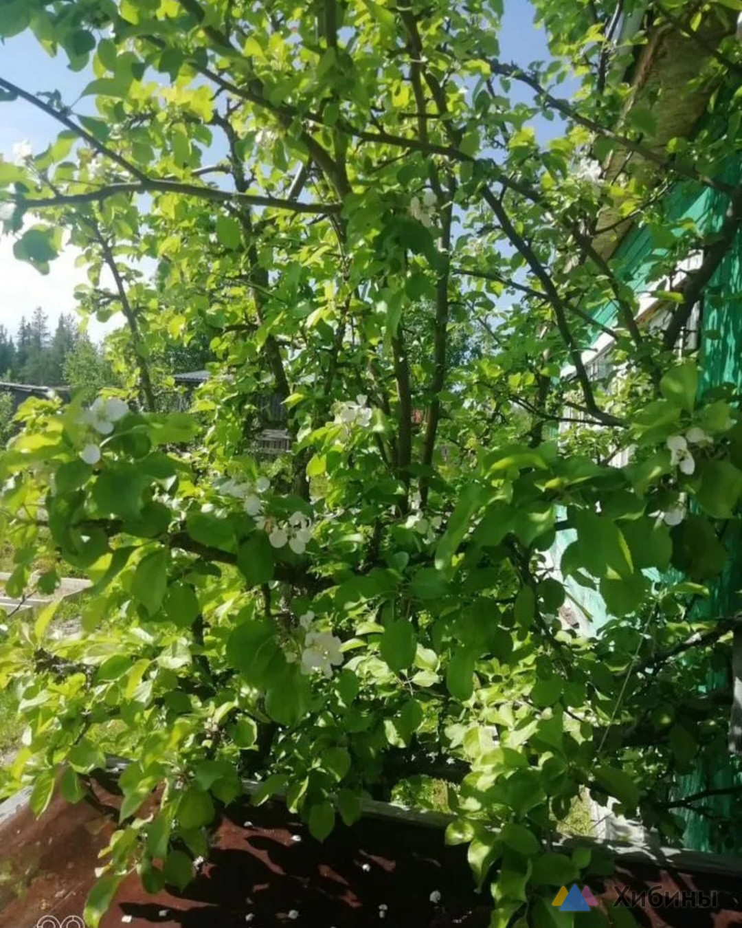 Продам дачу 40 кв. м. , участок 7 соток