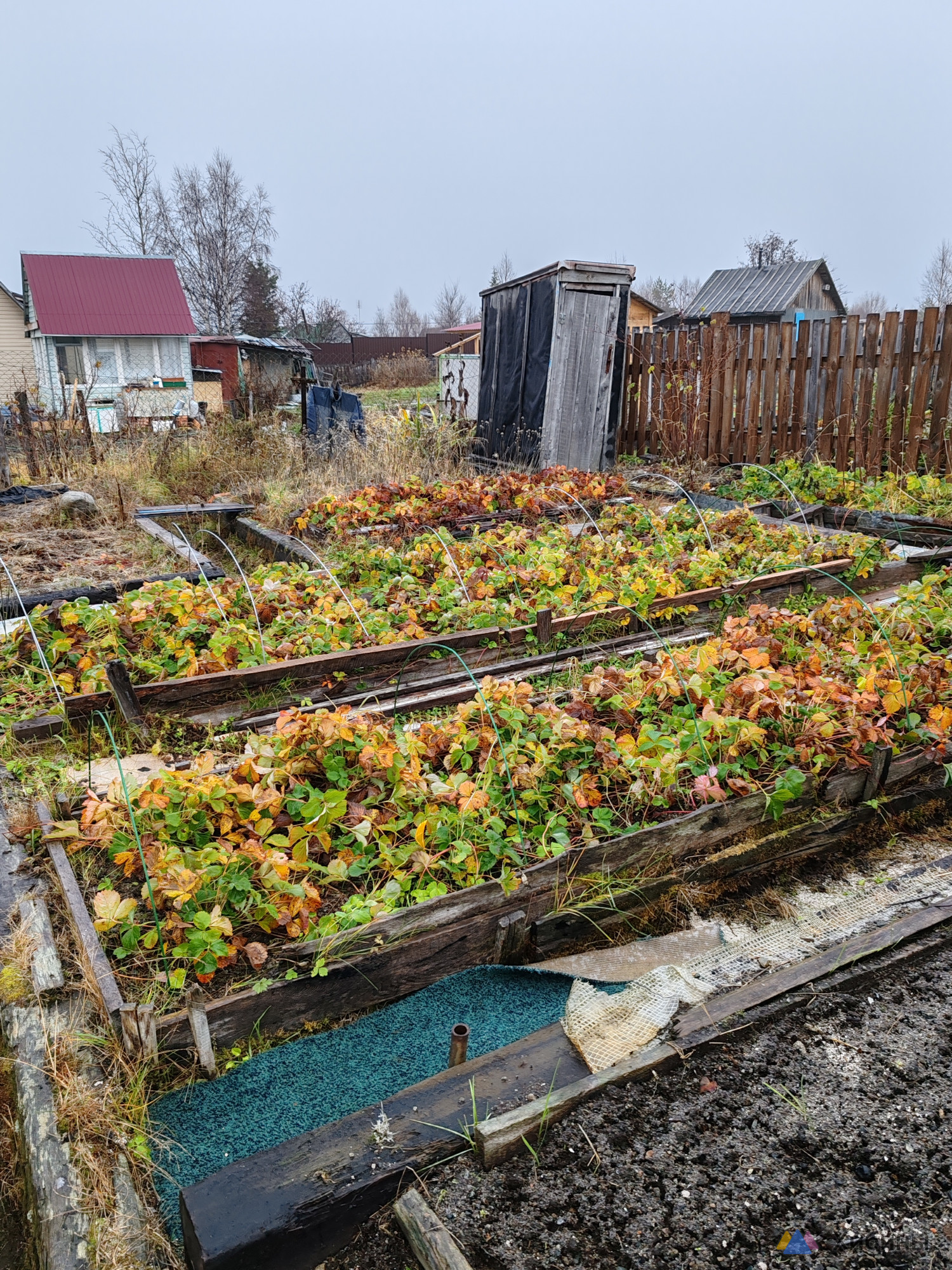 Продам дачу 40 кв.м., участок 6 соток