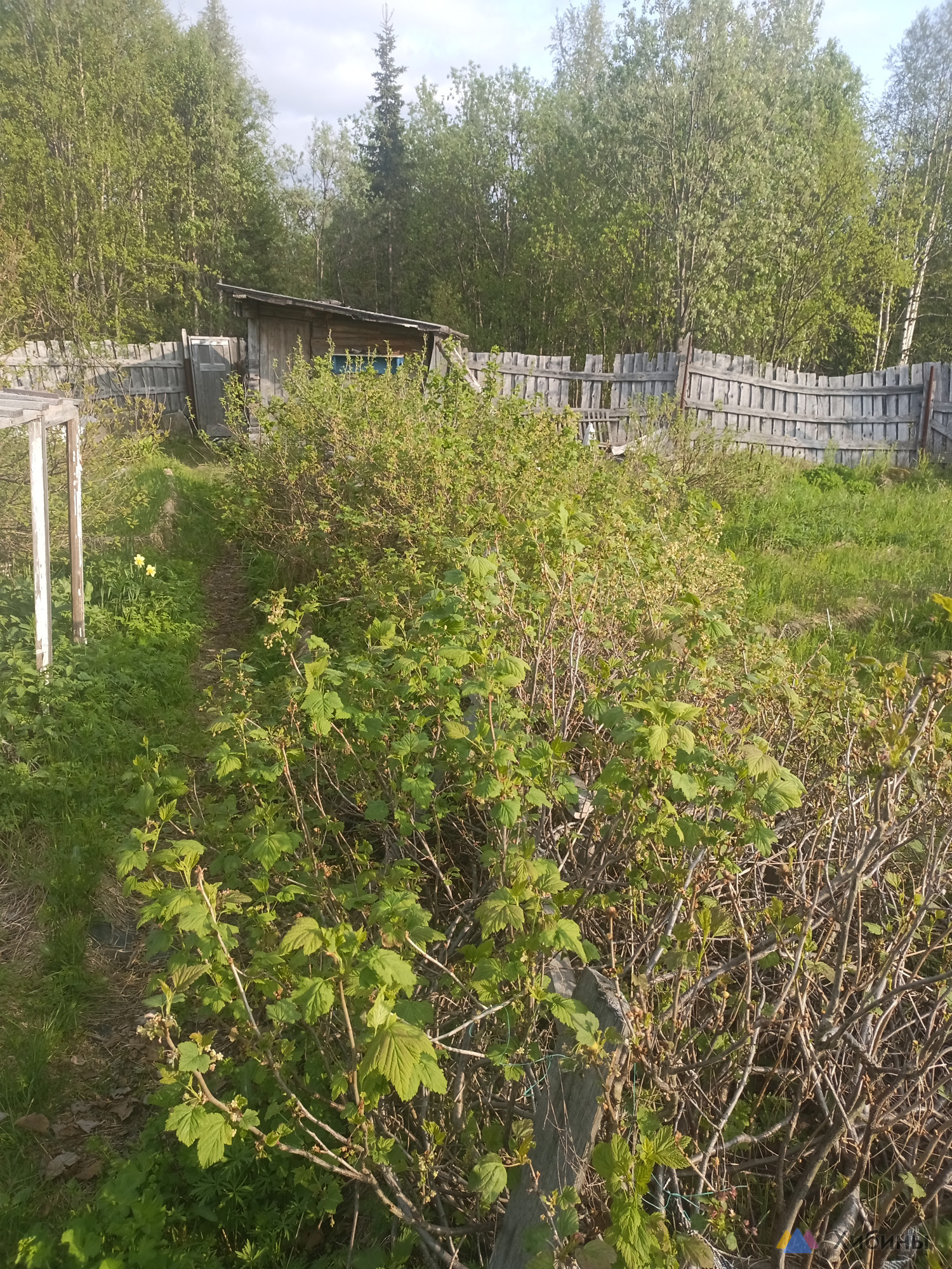 Продам участок земли, 6 соток с домиком