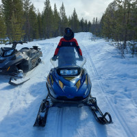 Объявление Lynx Ranger