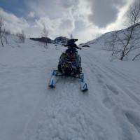 Объявление Polaris Pro RMK