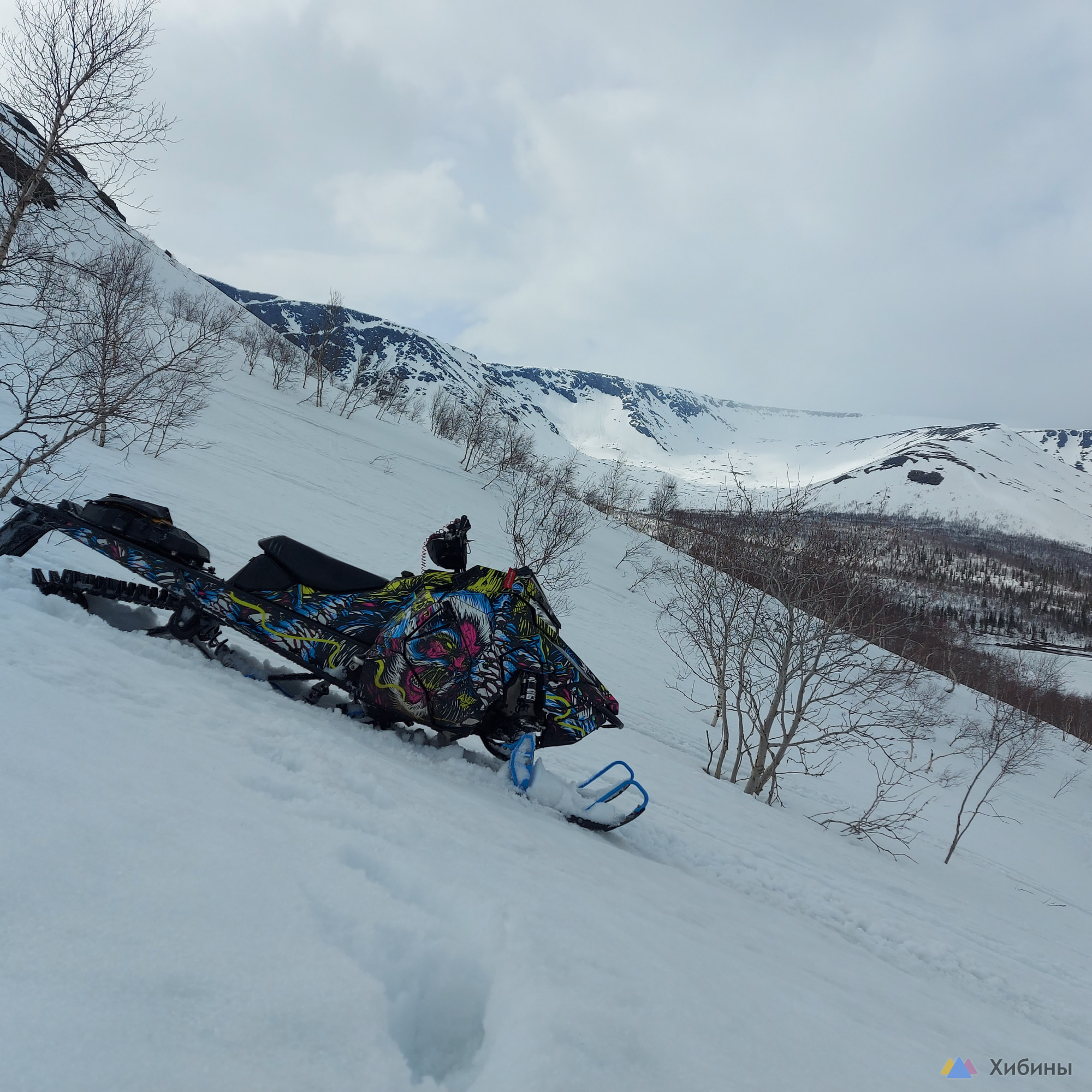 Polaris Pro RMK