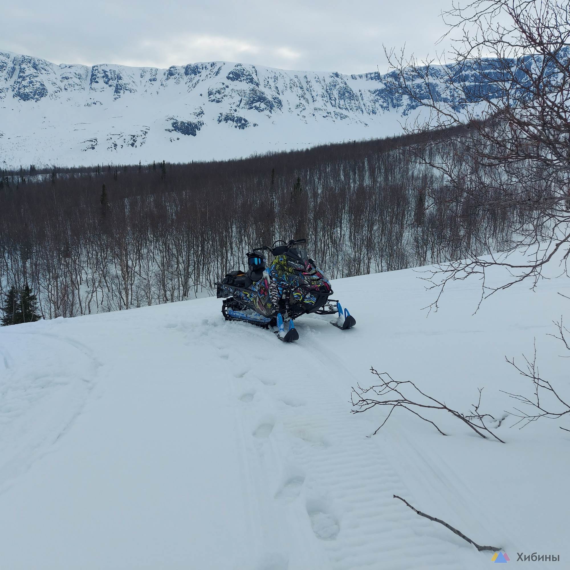 Polaris Pro RMK