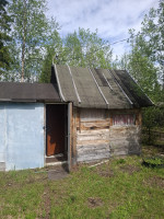Объявление Продам дачу 10 кв. м, участок 6, 5 соток