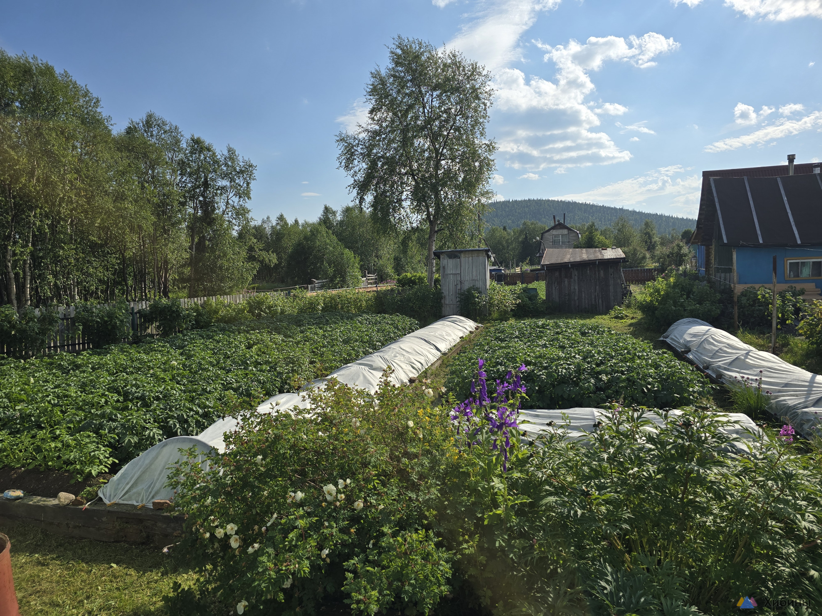 Продам дачу 40 кв. м. , участок 4 сотки