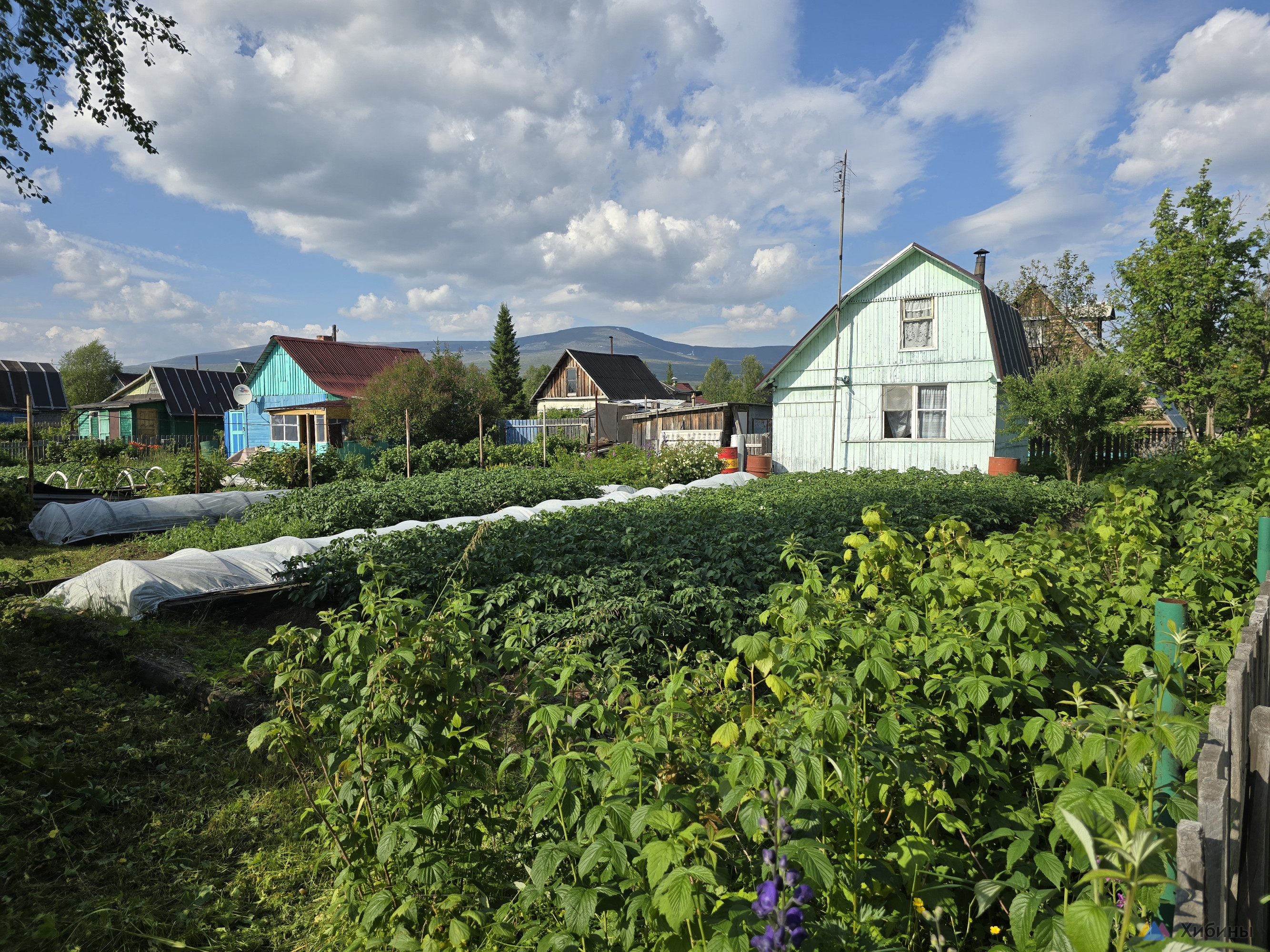 Продам дачу 40 кв. м. , участок 4 сотки