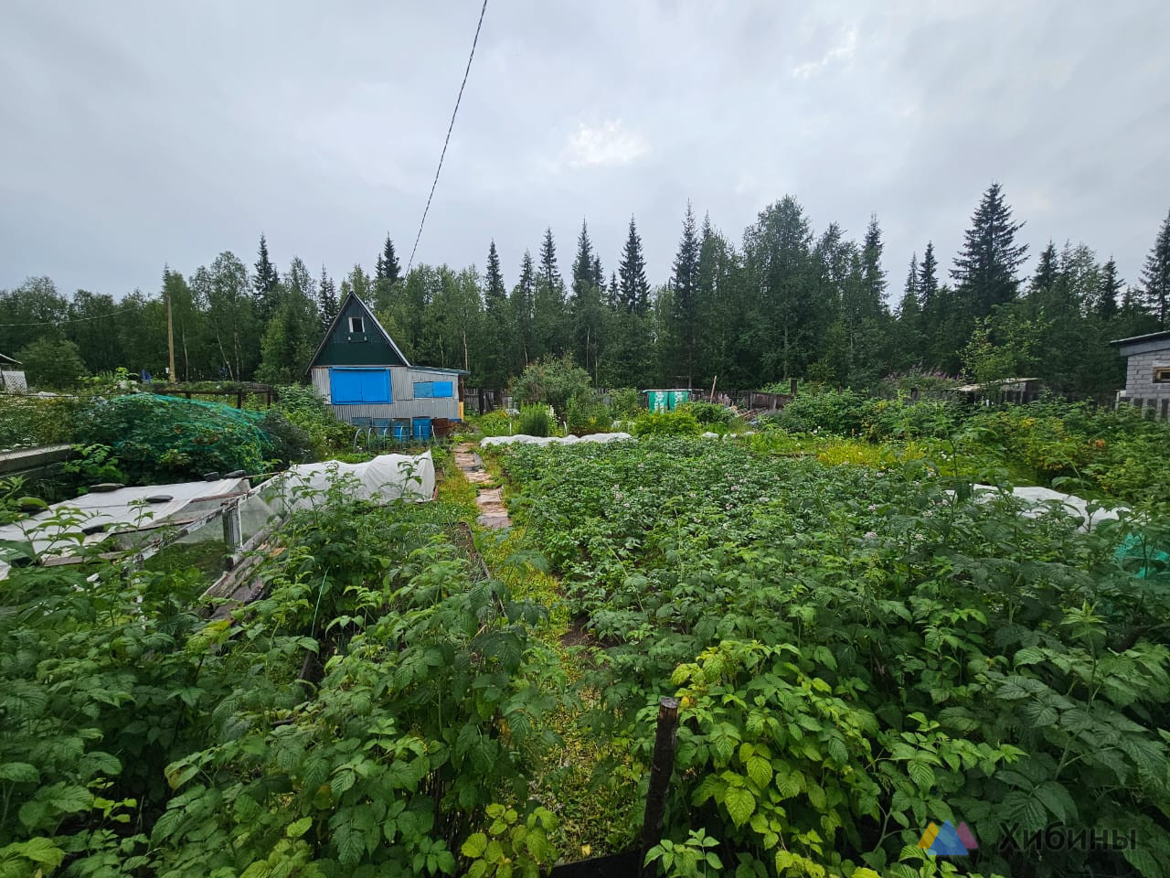 Продам участок земли, 6 соток