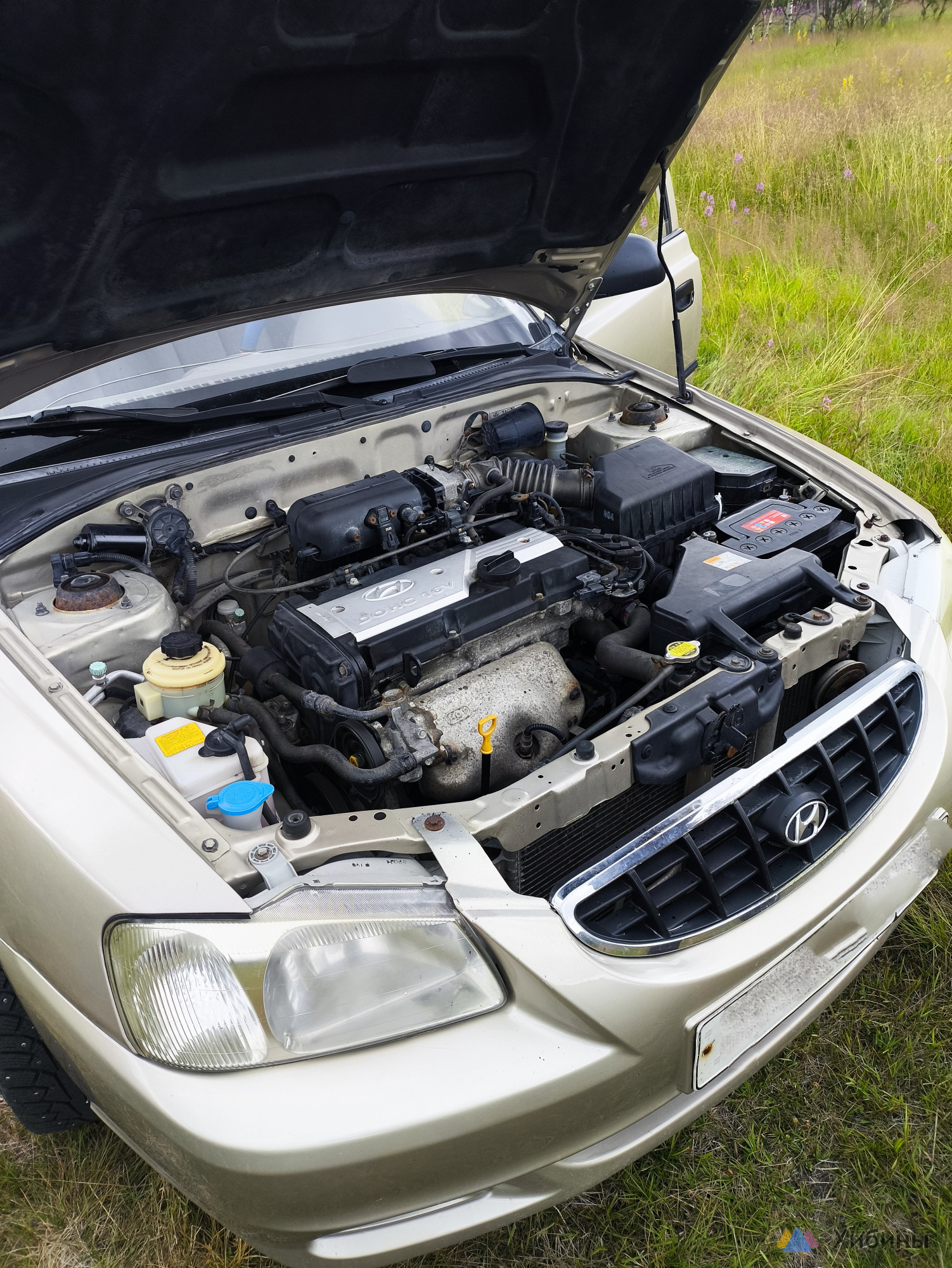 Hyundai Accent