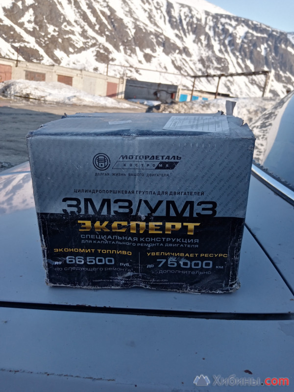 Поршневая газ 402